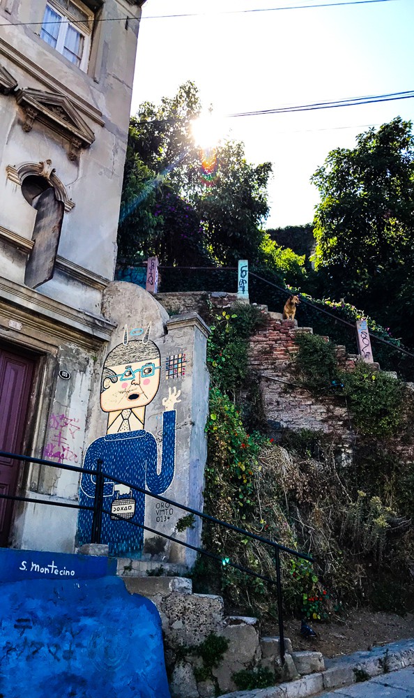 If you find yourself in Chile don't miss the opportunity to go on a Valparaiso Chile graffiti walking tour. The town is full of beautiful street art and graffiti and you will be rewarded with amazing views of the town as you walk up and down the many hills and old stairways of the town. 