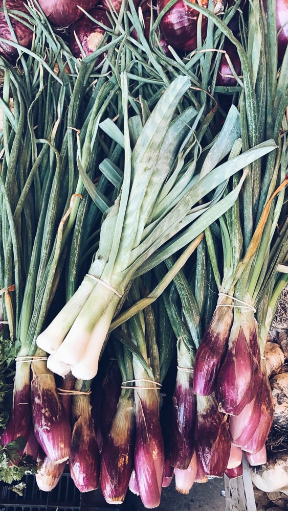 If you're in Santiago you must take time out of your trip to go on a Santiago Chile Food Walking Tour with FoodyChile. It's a fun day full of food, walking and seeing the best of Santiago. You'll love this foodie tour of Santiago!