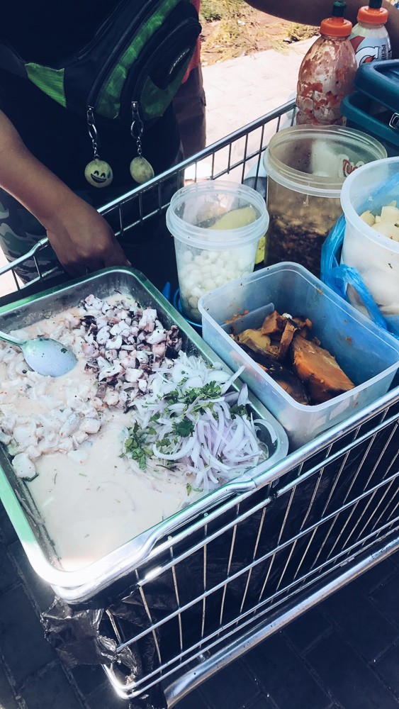 If you're in Santiago you must take time out of your trip to go on a Santiago Chile Food Walking Tour with FoodyChile. It's a fun day full of food, walking and seeing the best of Santiago. You'll love this foodie tour of Santiago!
