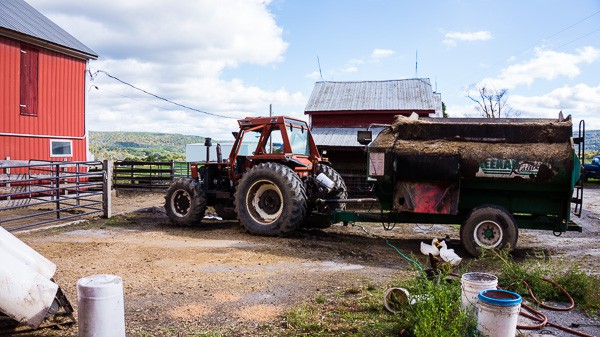 If you have always wondered what it’s like to visit a dairy farm I have you covered! Back in October, I toured Dellavale Farm and their new Cabot Creamery Co-operative plaid barn. I also got up close and personal with a few cute cows! You'll love this dairy farm tour!