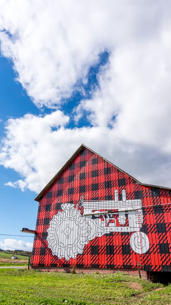 If you have always wondered what it’s like to visit a dairy farm I have you covered! Back in October, I toured Dellavale Farm and their new Cabot Creamery Co-operative plaid barn. I also got up close and personal with a few cute cows! You'll love this dairy farm tour!