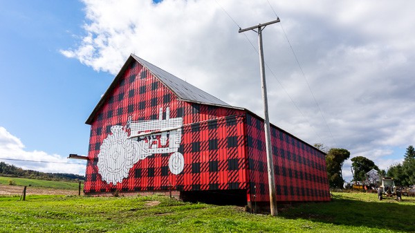 If you have always wondered what it’s like to visit a dairy farm I have you covered! Back in October, I toured Dellavale Farm and their new Cabot Creamery Co-operative plaid barn. I also got up close and personal with a few cute cows! You'll love this dairy farm tour!