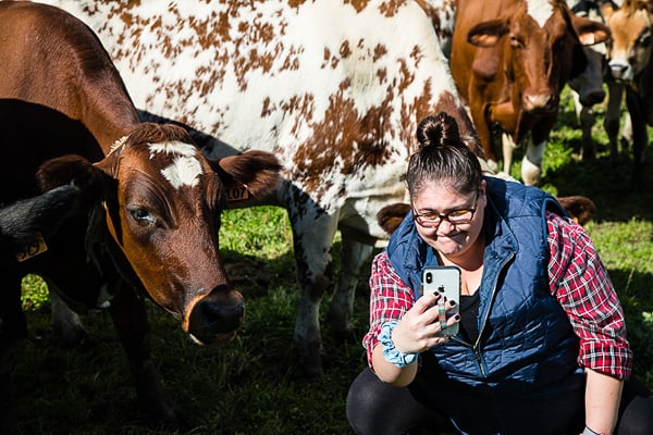 If you have always wondered what it’s like to visit a dairy farm I have you covered! Back in October, I toured Dellavale Farm and their new Cabot Creamery Co-operative plaid barn. I also got up close and personal with a few cute cows! You'll love this dairy farm tour!