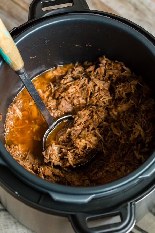 Instant Pot Cranberry Sauce Pulled Pork in the Instant Pot