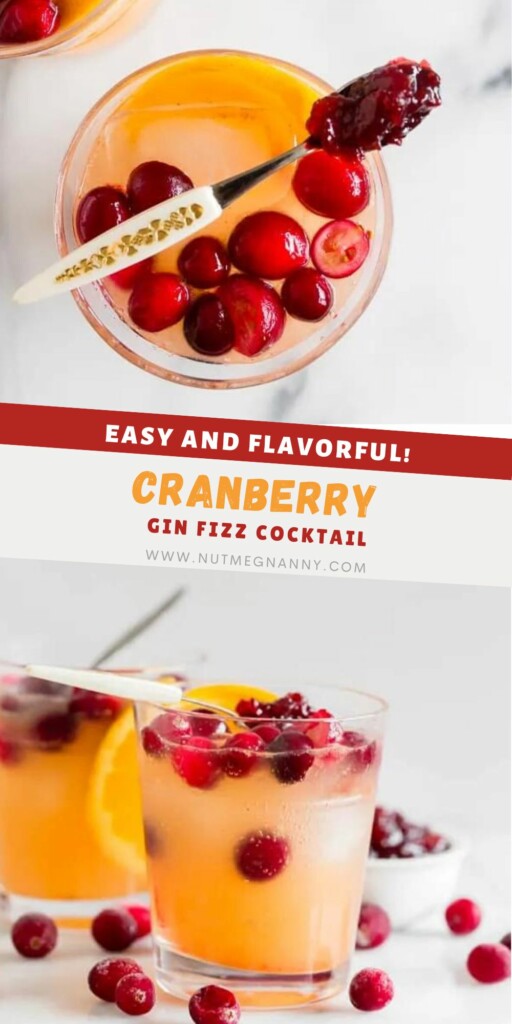 Cranberry Gin Fizz pin for Pinterest. 