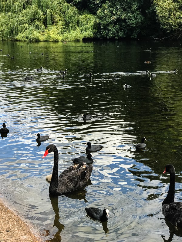 St. James's Park London tRavel guide