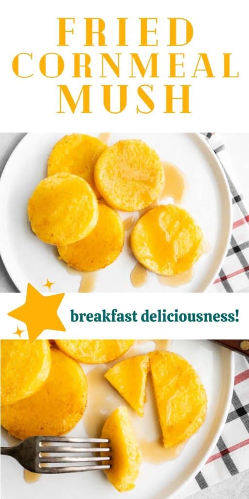 fried cornmeal mush long pin.