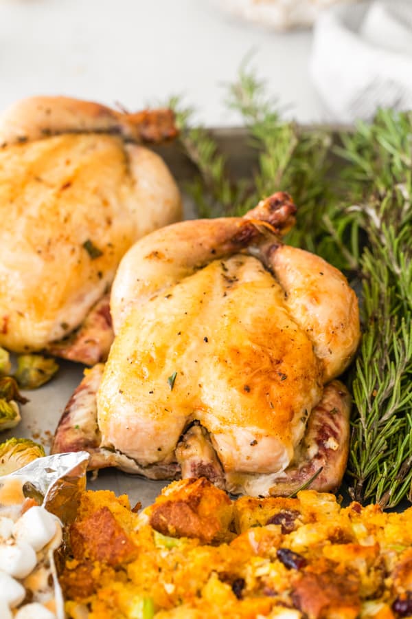 Sheet Pan Thanksgiving Dinner served on a platter.