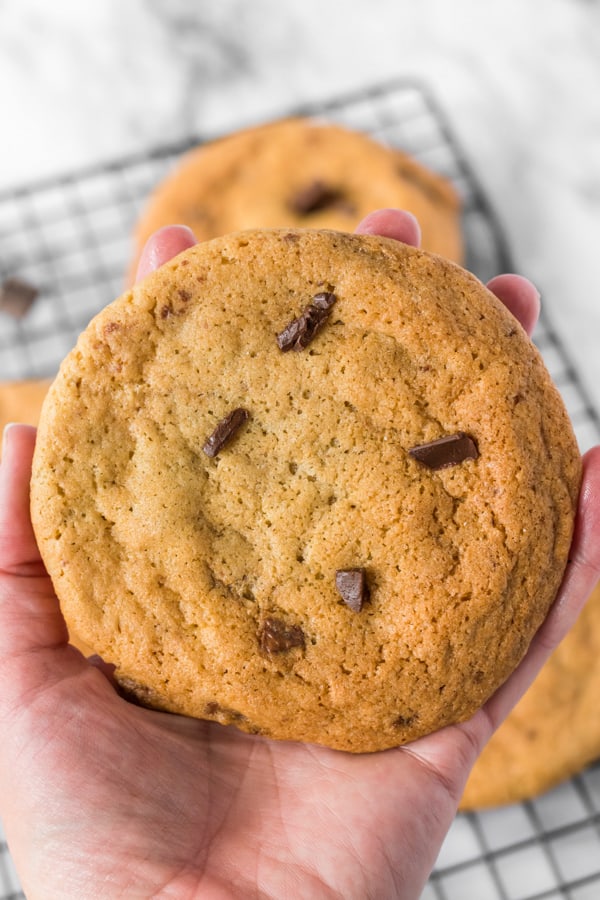 A hand holding a Caramel Chocolate Chip Cookie.