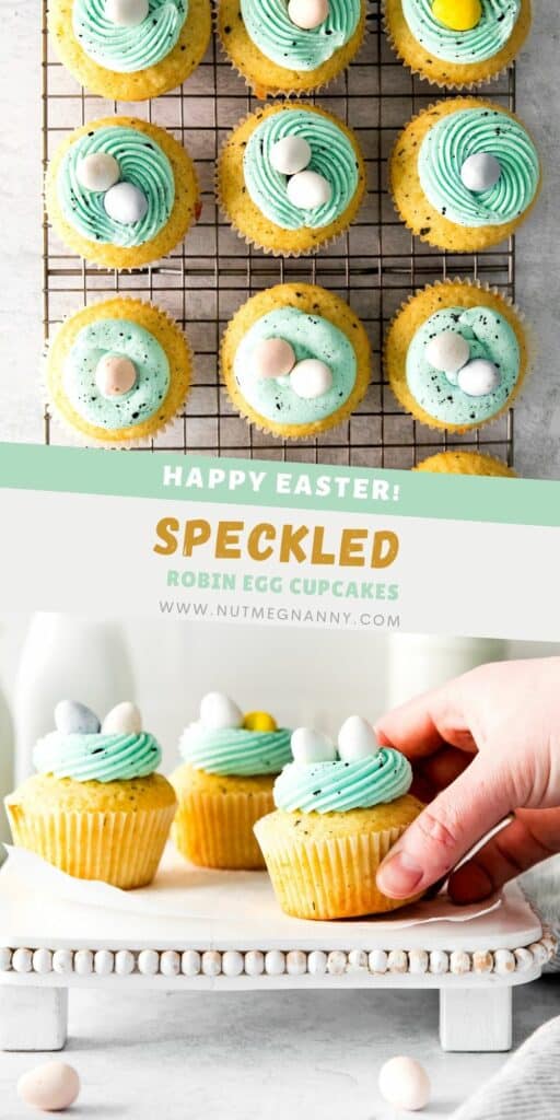 Robin Egg Cupcakes pin for Pinterest.