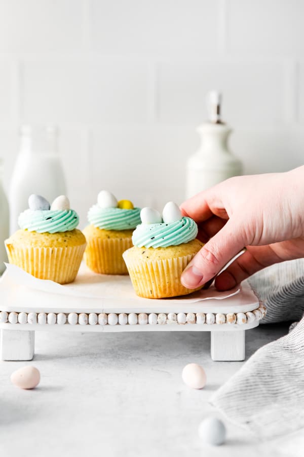 Robin Egg Cupcakes on a platter.