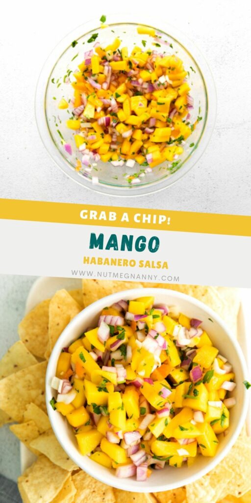 Mango Habanero Salsa pin for Pinterest. 
