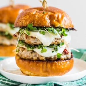 Sandwich Recipes