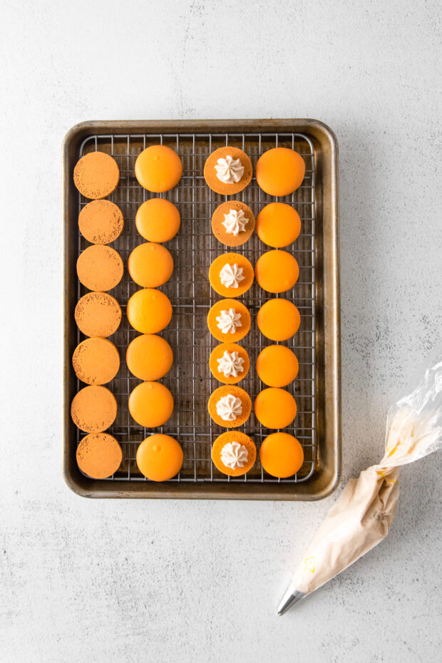 Filling being piped in for Pumpkin Spice Macarons.