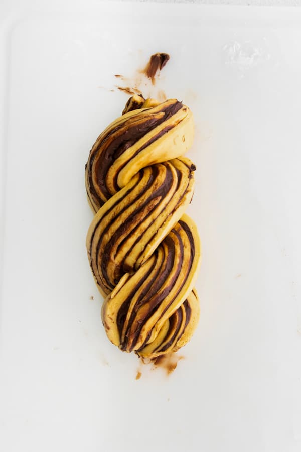 Pumpkin Chocolate Babka uncooked but rolled to show the dough. 