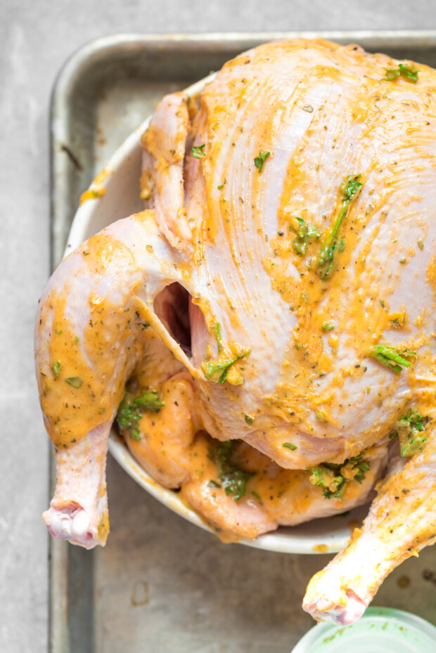 Air Fryer Whole Chicken covered in spices before cooking.