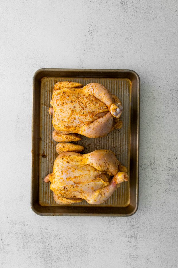Cornish hens covered in spices. 
