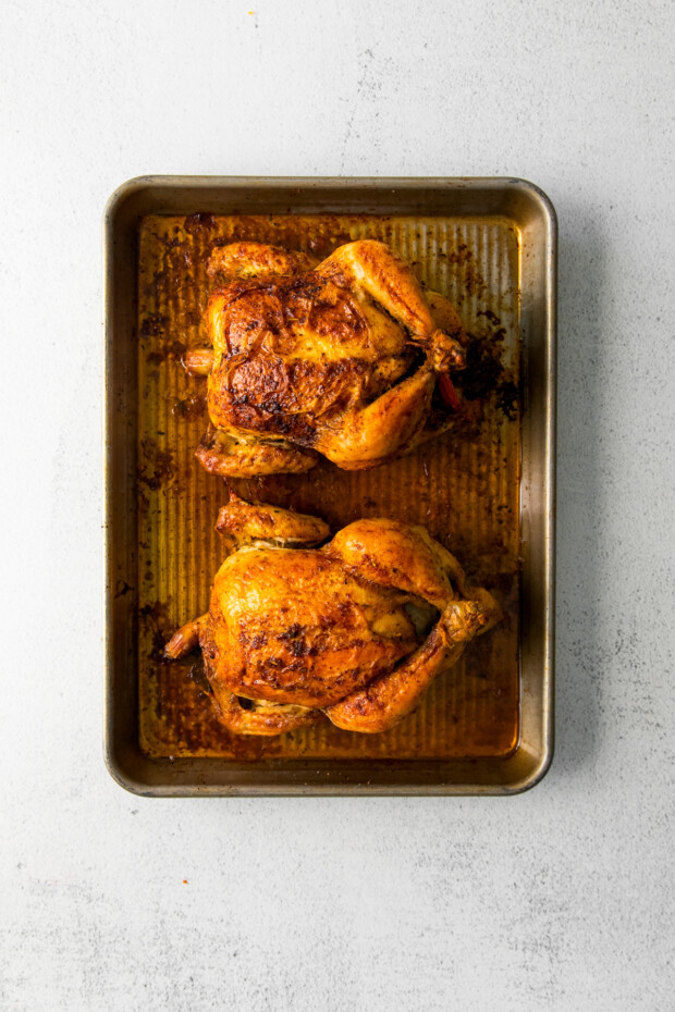 Roasted Cornish Hens on a sheet pan. 