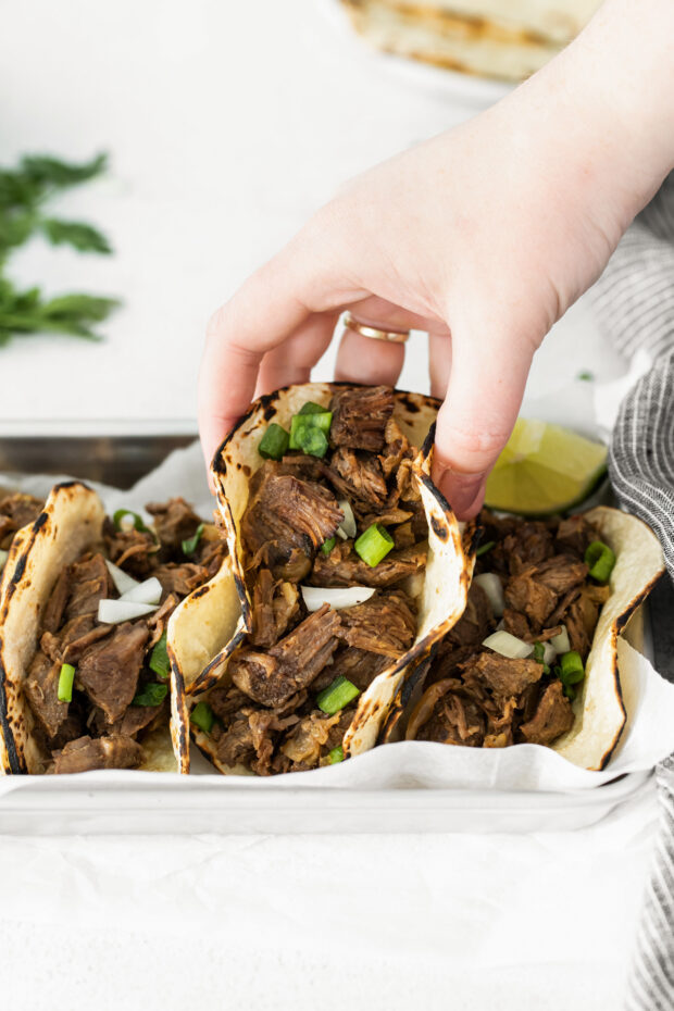 Slow Cooker Beef Barbacoa in a tortilla being picked up. 