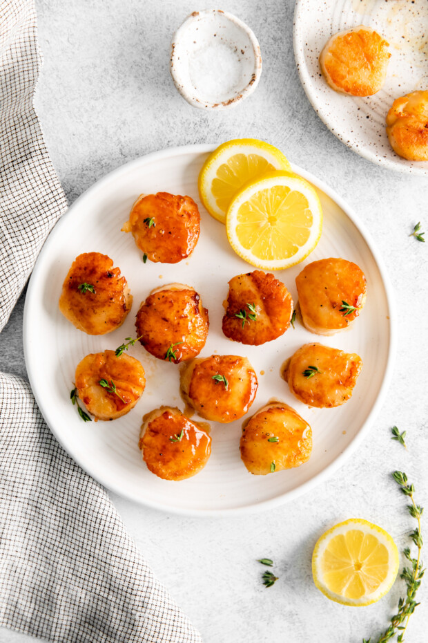 Seared Scallops on a plate with lemon and thyme. 