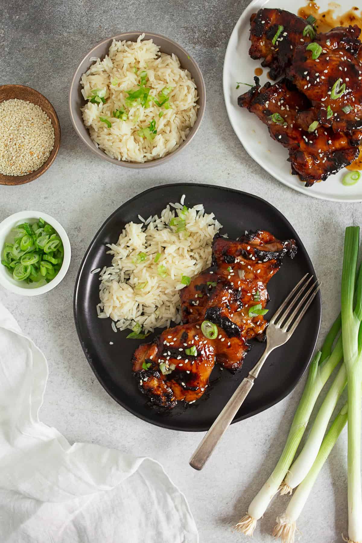 Grilled teriyaki chicken on a plate served with rice.