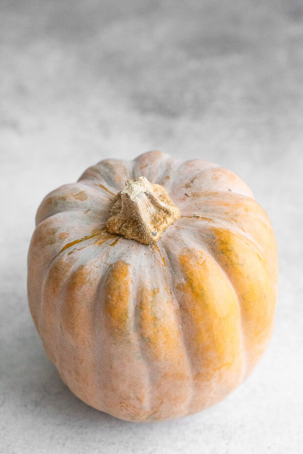 A whole koginut squash sitting on a table. 