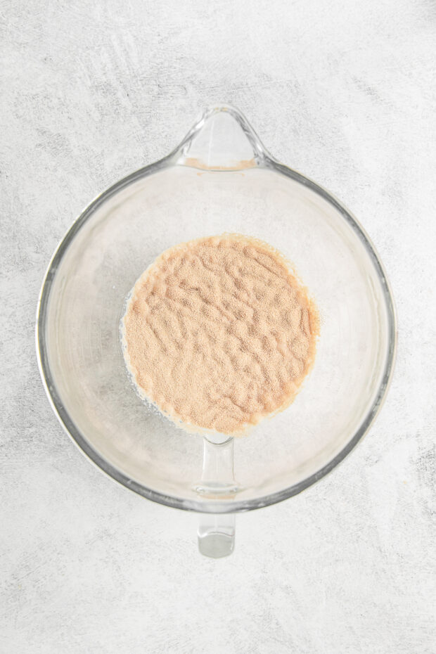 Yeast in a bowl.