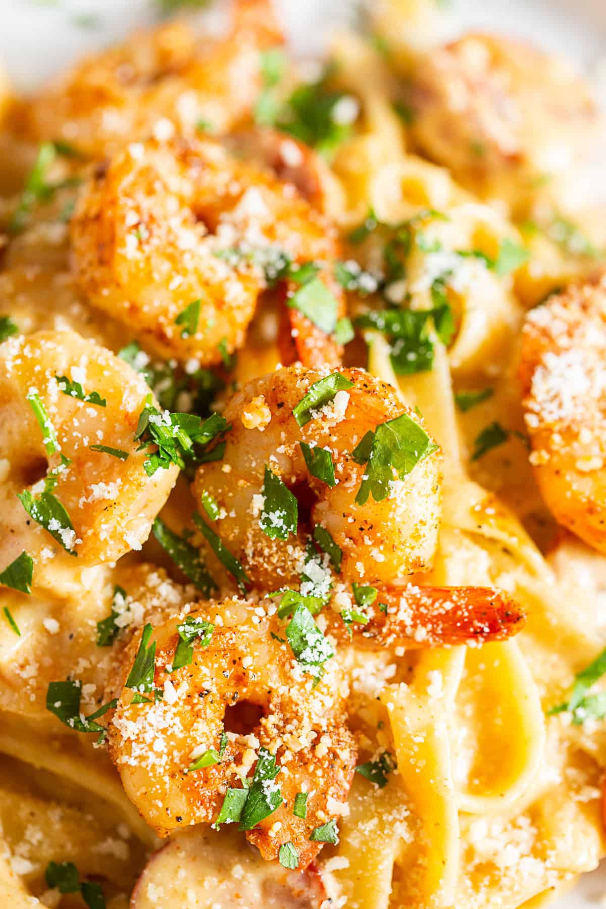 cajun shrimp fettuccine alfredo closeup of cooked shrimp.