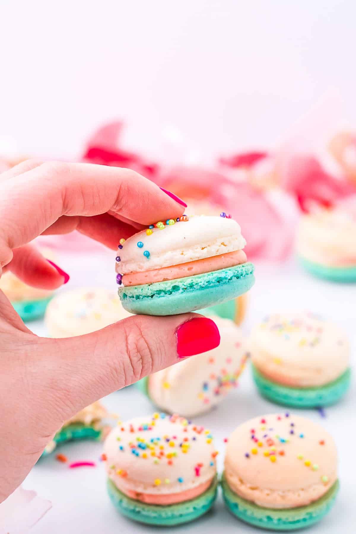 birthday cake macarons being held 