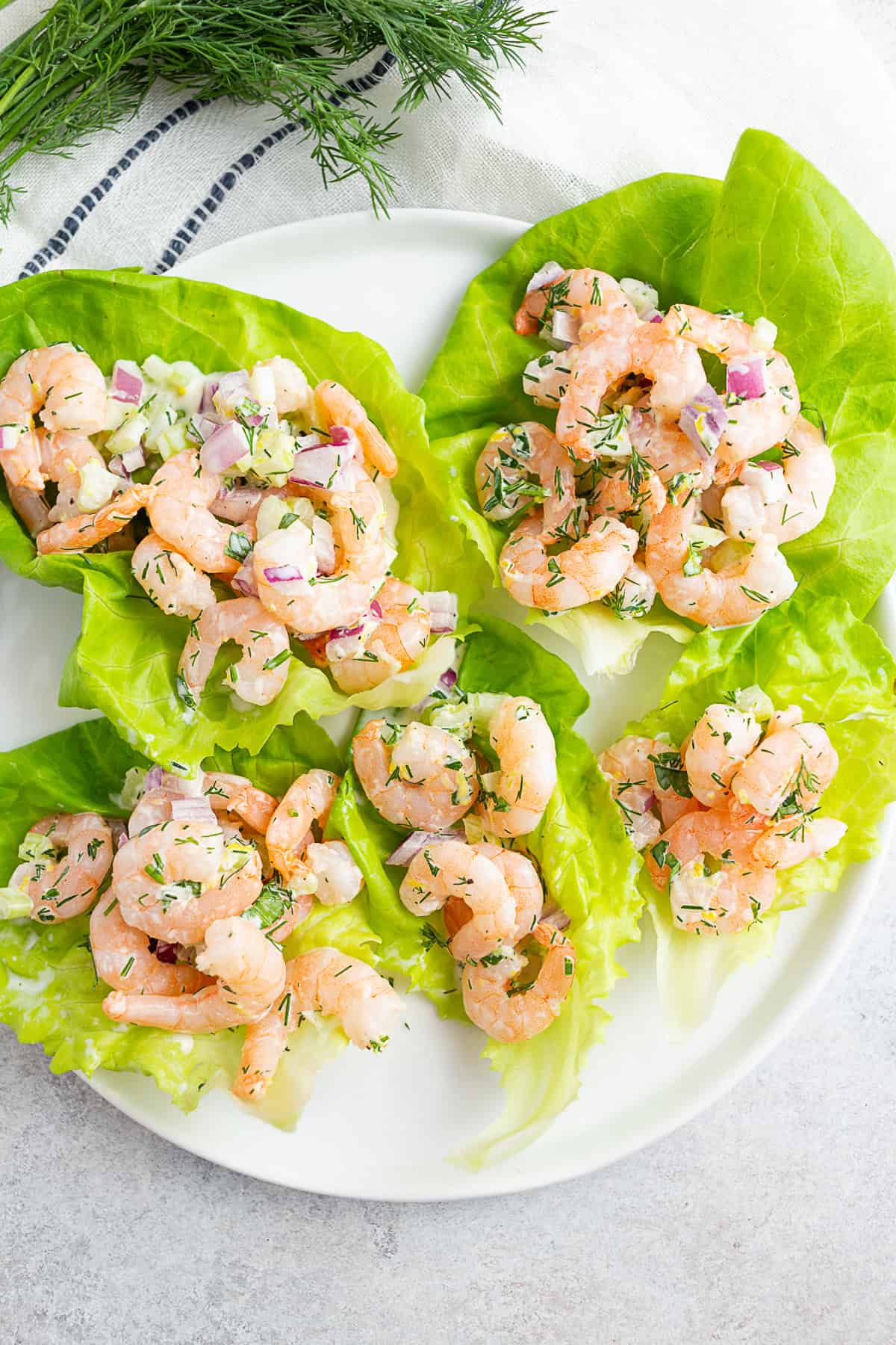 Classic Shrimp Salad served on butter lettuce leaves.