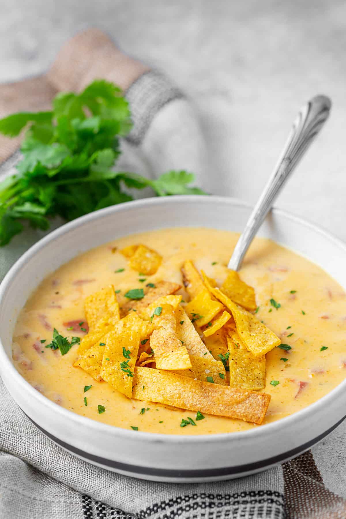 Tortilla soup topped with crispy tortilla strips. 