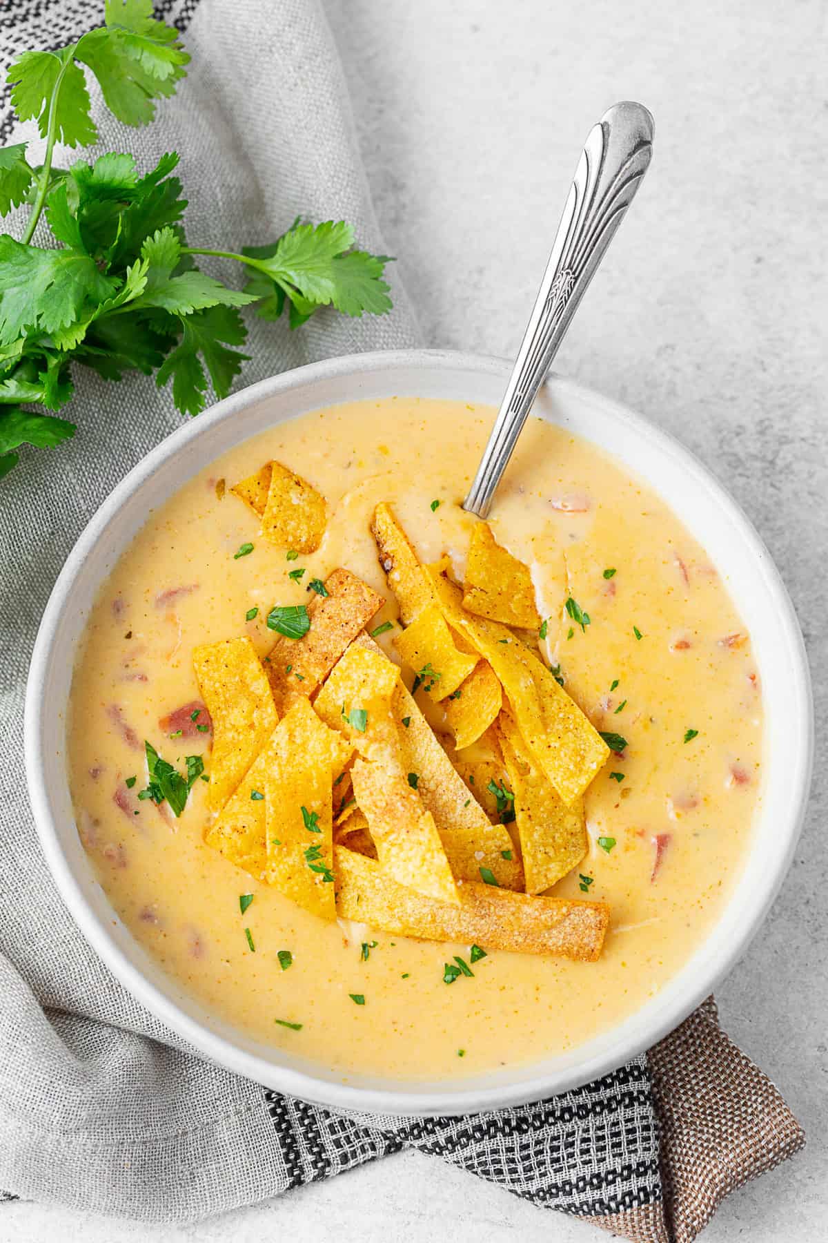 Tortilla soup served with a spoon. 